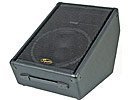 Squier 12 2-Way Floor Monitor