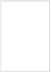 100 Etiketten 210x297mm selbstklebend...