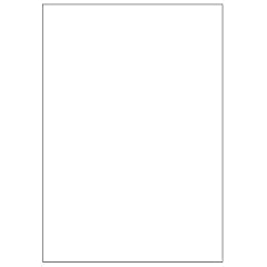 100 Etiketten 210x297mm selbstklebend (vollf�chig DIN A4), allround-Qualit�t weiss