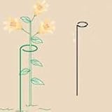 Bosmere E523 36 x 3 Inch Hoop - Set of 3