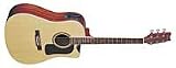 Musical Instruments : Washburn Dreadnought Cutaway Acoustic-Electric - Natural - with hardshell case