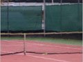 Tennisblende Sichtschutz 2,00 x 12,00 m dunkelgrün mit 56 Karabinerhaken