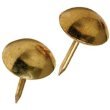 Hillman #122682 25PK Round Brass Uphol Nail