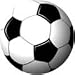 Soccer Ball Auto Magnet