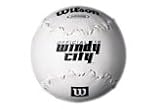 Wilson WTA9266B 16-Inch Windy City Softball (1-Dozen)