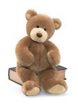 11lsNLEI8ML Gund Hazel Teddy Bear 13.5