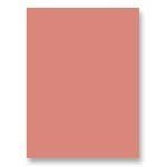 Riverside Paper Groundwood Construction Paper, 12in. x 18in., Butterscotch