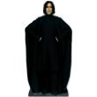 Professor Snape (Harry Potter) Life-Size Standup Poster , 15x66