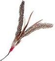 Da Bird Feather Teaser Replacement Feathers Color:Assorted