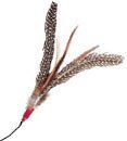 Pet Supplies : Da Bird Refill Replacement Feathers