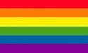 NEOPlex 3' x 5' Rainbow Gay Novelty Flag