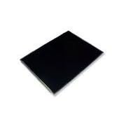 Micron Transport Millennia 12.1" SVGA LCD DISPLAY - FLC31SVC6S-01