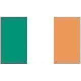 Ireland Flag Superpolyester 2 ft x 3 ft