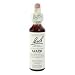 Larch Flower Essence - 20 ml., (Bach Flower Essence)