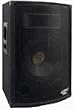 Pyle PADH1579 15" Two-way Speaker Cabinet