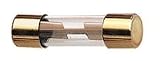 ProLink 25 Amp AGU type glass fuse-5 pack