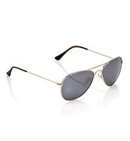 Metal Frame Aviator Sunglasses