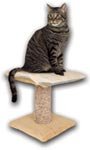 Pet Supplies : K&H Thermo-Kitty Furniture Warmer