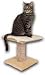 Pet Supplies : K&H Thermo-Kitty Furniture Warmer