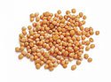 MUSTARD SEED, YELLOW, 6 - 1.75 lb. jars