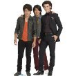 Jonas Brothers Standup
