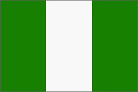 Nigeria Flag 3 x 5 BRAND NEW 3x5 Foot NIGERIAN Banner