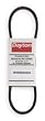 Dayton 3L200 V Belt, 3l, 3/8 X 20 In