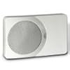 iChime Auxiliary Speaker