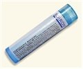 SACCHARUM OFFICINALE 30C MD