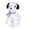 Ty Beanie Baby - Dizzy the Dalmatian (Colored Spots & Black Ears)