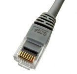 Offspring - Patch cable - RJ-45 (M) - RJ-45 (M) - 10 ft - UTP - ( CAT 6 ) - gray