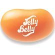 Orange Sherbet Jelly Belly - 16 oz