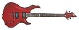  : ESP LTD F50 Electric Guitar (Black Cherry)