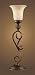 elk lighting - 2474_1