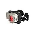 InFocus - Projector lamp - 2500 hour(s)