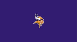 Minnesota Vikings Pool Table Felt
