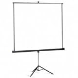 Projecta ProView - Portable Projection screen with tripod - 1:1 - 180 x 180 cm Matte White