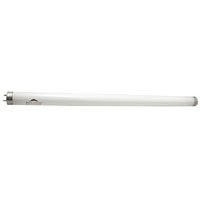 Fluorescent T-8 Lamp for Eclipse 1 2 - 5,000K - 15W - 18 in. by TETRA HOLDINGS, INC
