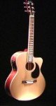 ROY CLARKS CUSTOM CUTAWAY GUITAR / LEFT HAND MODEL