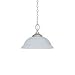 Sea Gull Lighting 69143BLE-61 Athenia Single-Light Fluorescent Pendant (Energy Star Q...