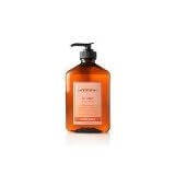 Bath and Body Works Aromatherapy Energy Orange Ginger Hand Soap 12 fl oz