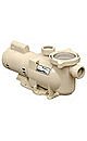 Pentair 340042 Stainless Steel SuperFlo Almond 230-Volt 60-Hertz Single-Phase 2-Speed Pool Pump, 1-Horsepower