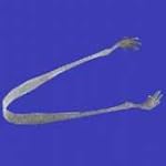 Animal Claw ICE TONGS bar Hors d'oeuvres metal