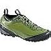 Arcteryx Acrux FL GTX Approach Shoe - Men's