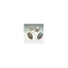 Search : Hollister 8615 Drain Pouch Premier Transparent 1-3/8"