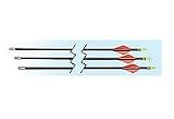 Allen Company 28-Inch Fiberglass Youth Arrows (3 Pack)