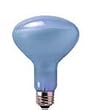 100 Watt Incandescent Full Spectrum Flood Light Bulb / R30 Shape (3.75" Diameter) / Neodymium (Full Spectrum) / 100BR30