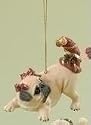 Roman - Adorable - Dog in Christmas Outfit - Pug