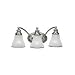 Sea Gull Lighting 40011-773 Alexandria Three-Light Vanity, Two-Tone Nickel Finish with Clear Highlighted Satin Etched Glass