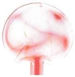 1/4lb Effetre Moretti Cool Color Glass Rods - Orange African Daisy - 5-6mm (1556642.25)